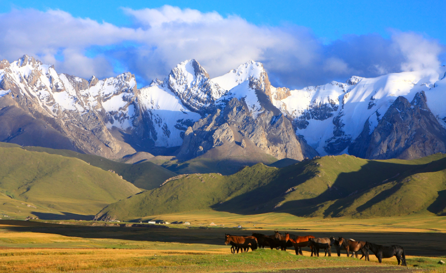 Kyrgyzstan ♥ Podravka